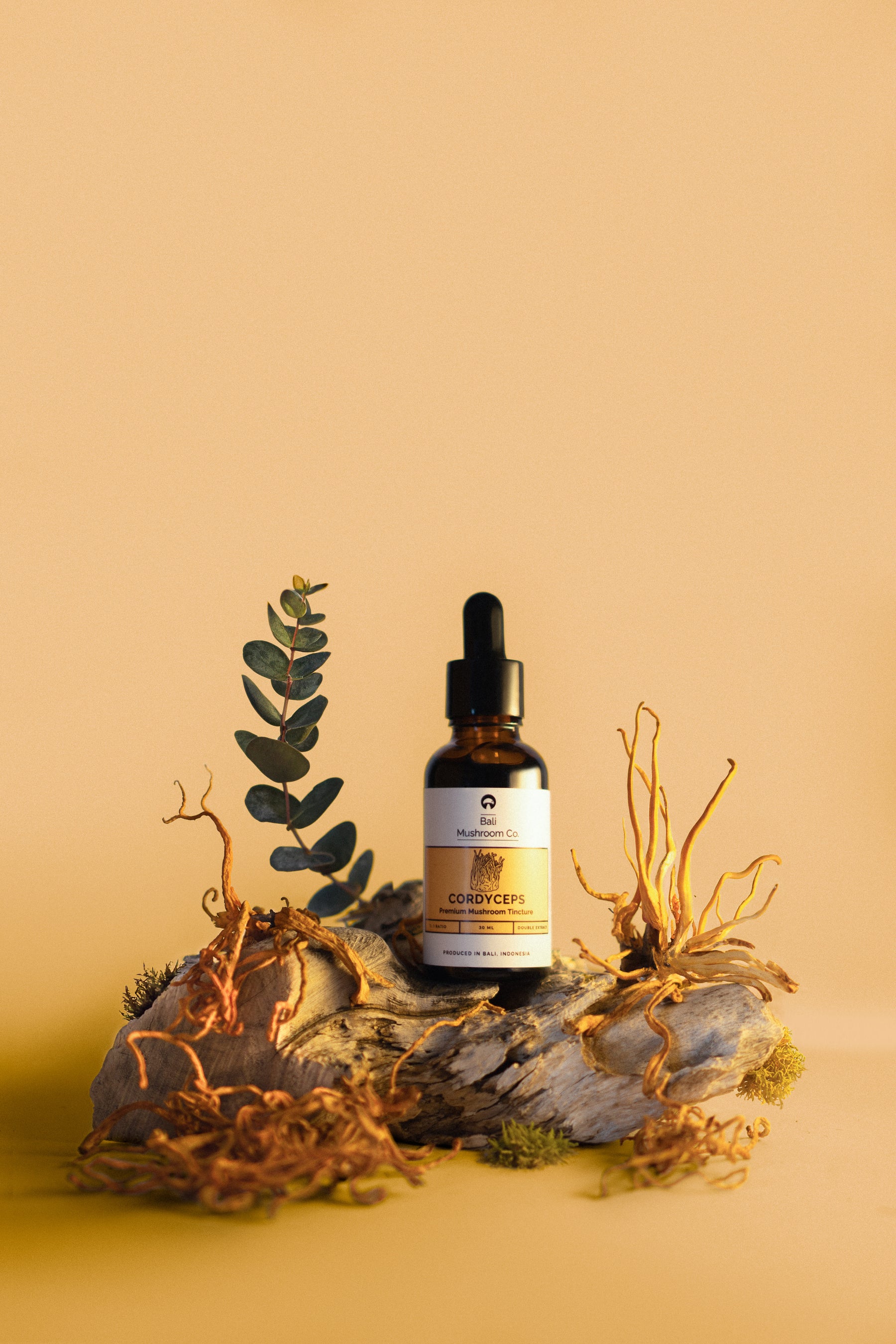 Cordyceps Tincture