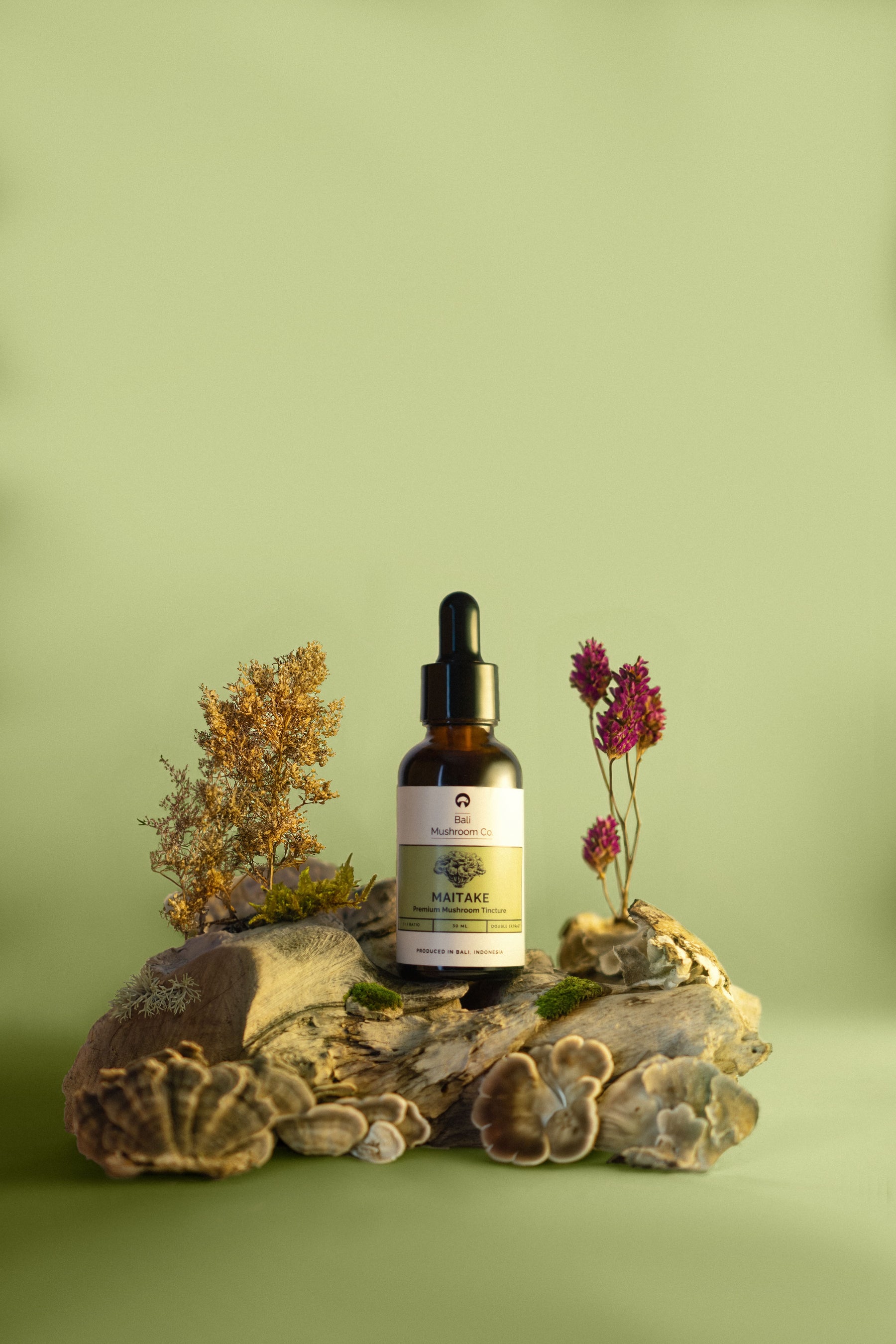 Maitake Tincture