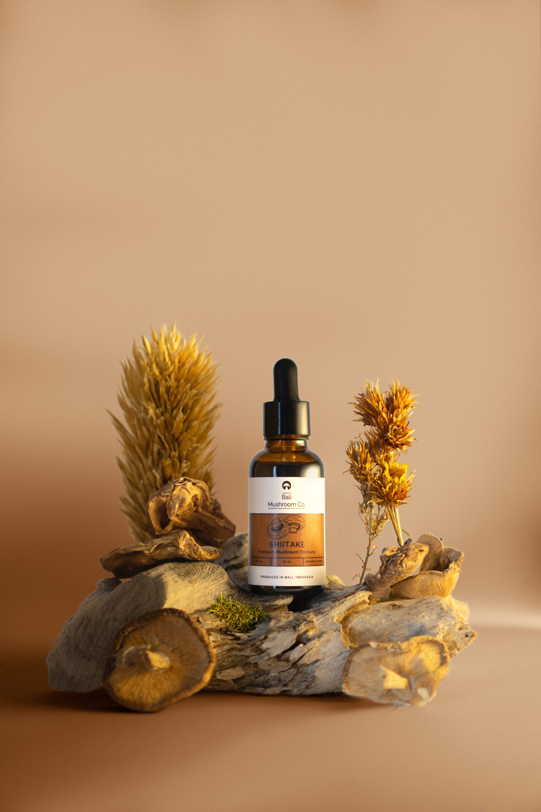 Shiitake Tincture