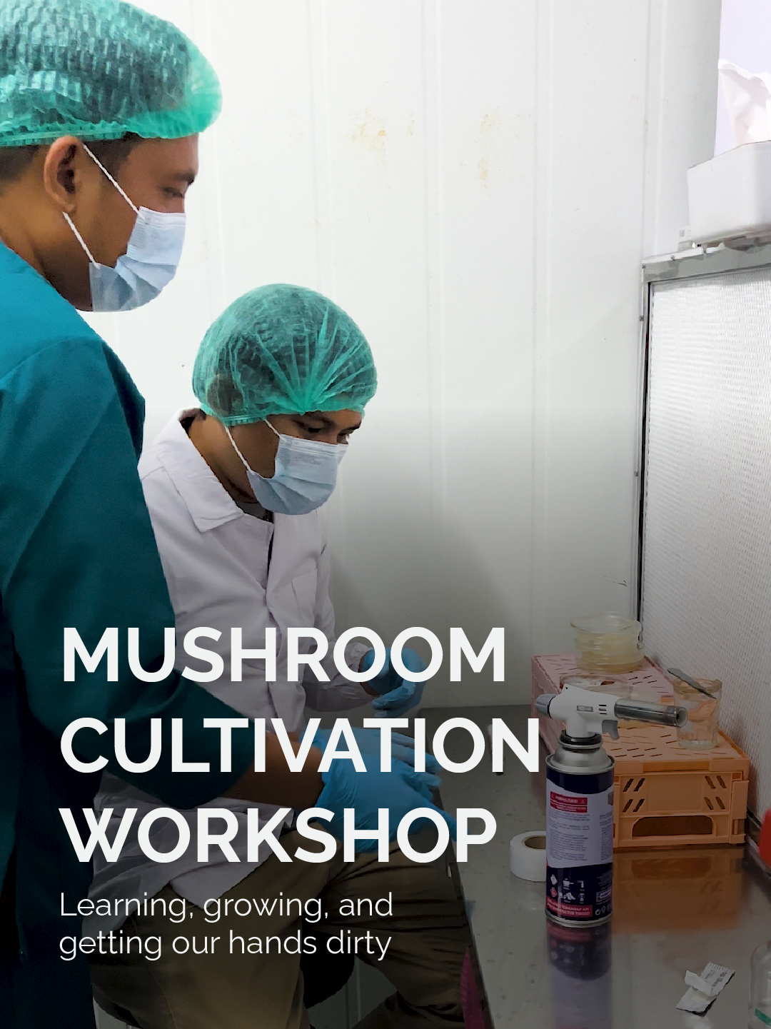 The Fresh Mushroom Atelier: Live Cultivation & Harvesting Experience