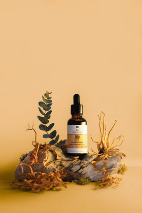 Cordyceps Tincture *Alcohol Free