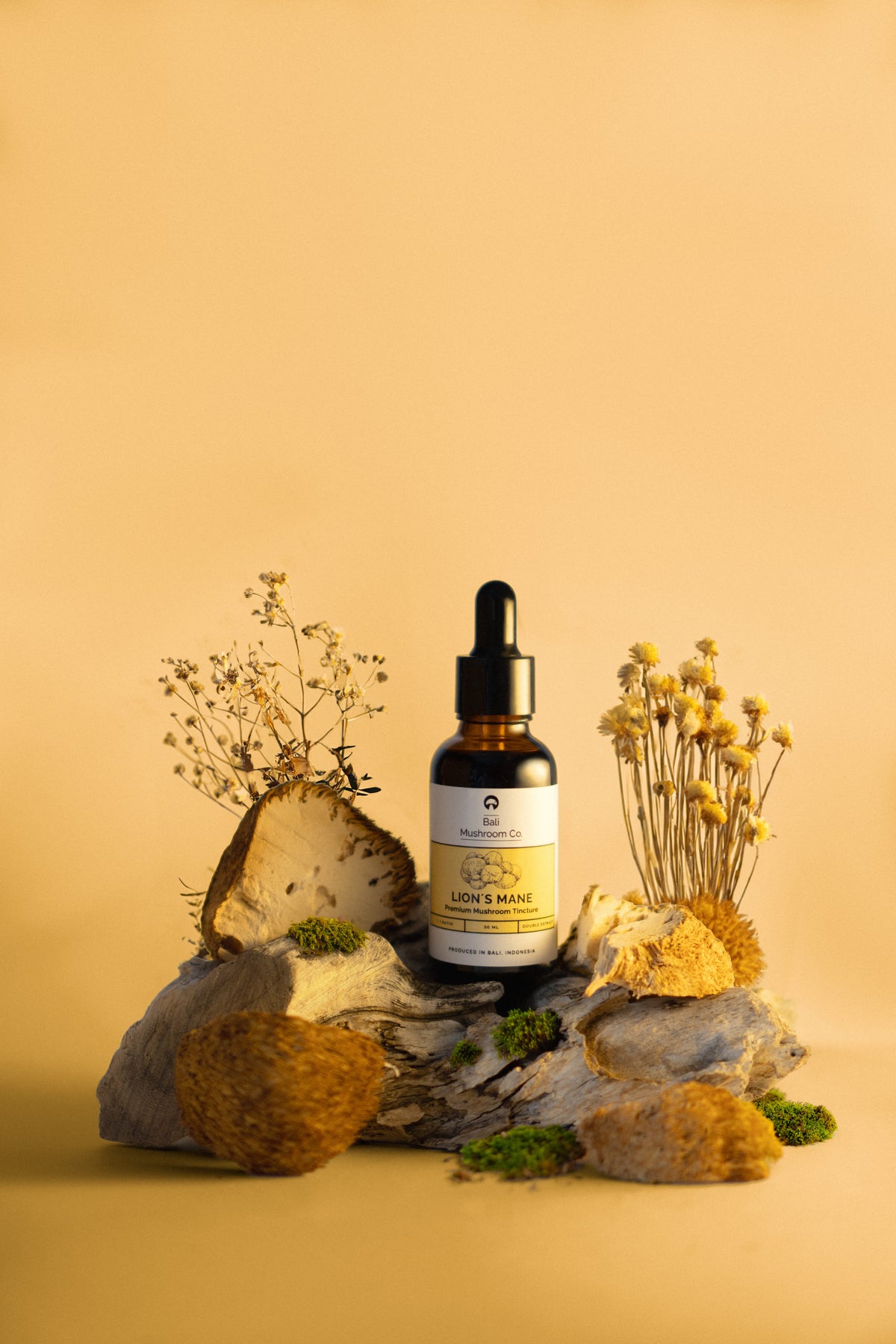 Lion’s Mane Tincture