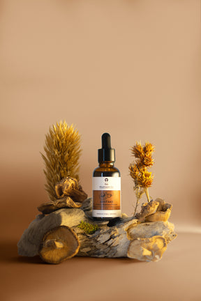 Shiitake Tincture