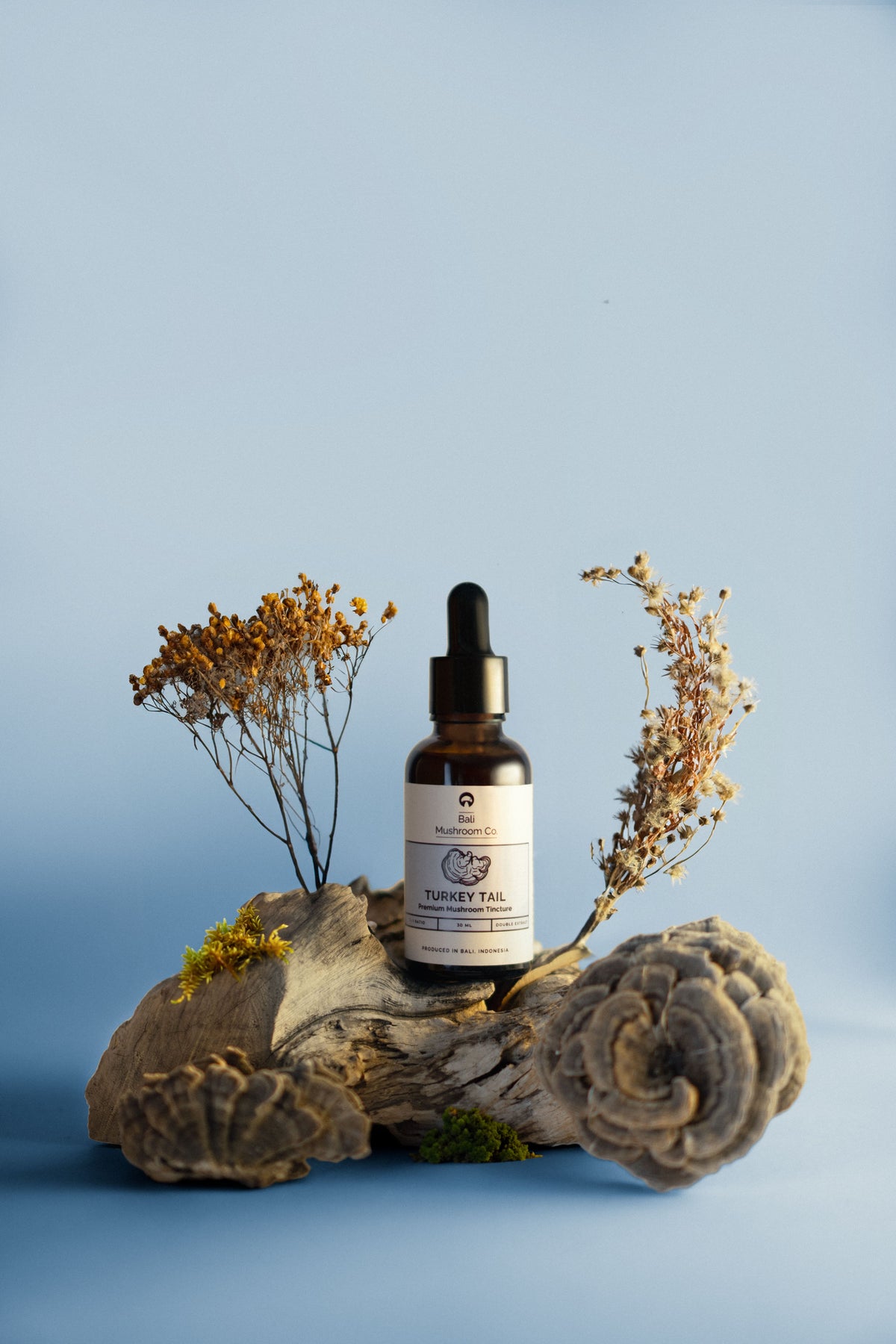 Turkey Tail Tincture