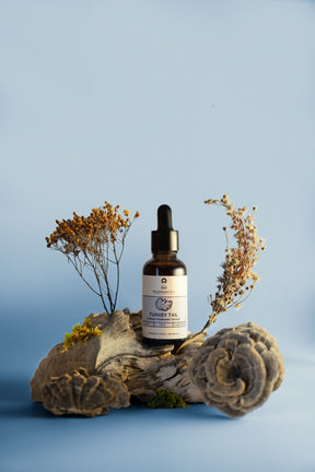 Turkey Tail Tincture